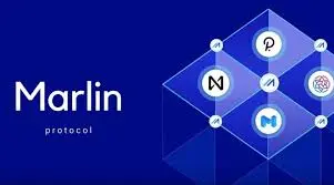 Marlin